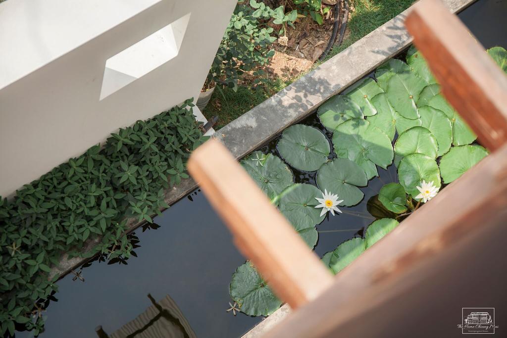 The Home Chiangmai Luxury Guesthouse Chiang Mai Exterior photo